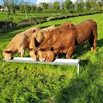 Apartmán Swift Half Ballyconnell (Cavan)