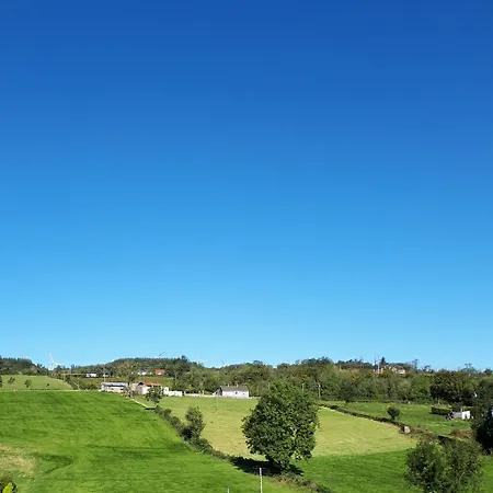 Swift Half Ballyconnell (Cavan)