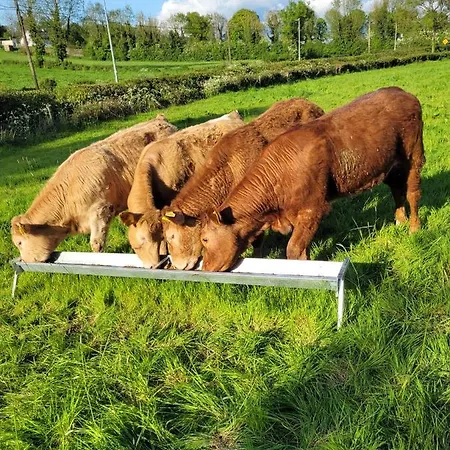 Apartmán Swift Half Ballyconnell (Cavan)