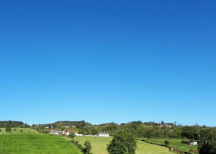 Swift Half Ballyconnell (Cavan)