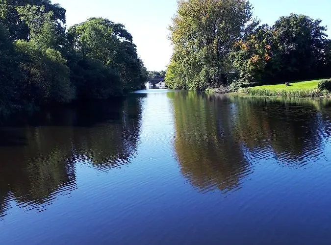 Swift Half Ballyconnell (Cavan)