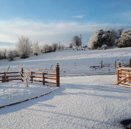 Swift Half 아파트 *